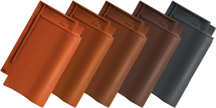 Skridla Tondach Rumba - 4