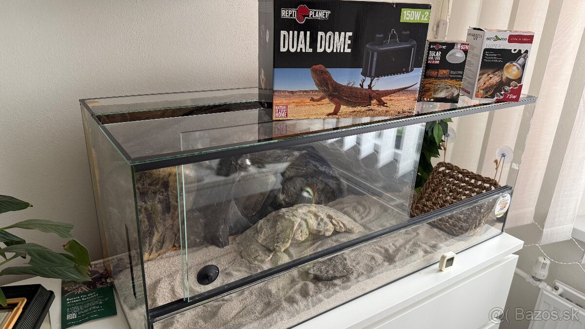 terárium pre agamu - 4