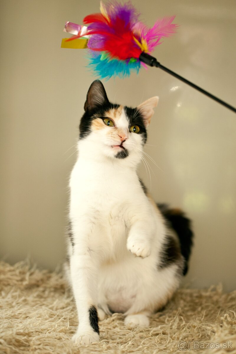 ❤ Priscila - jemná a citlivá dušička - 4