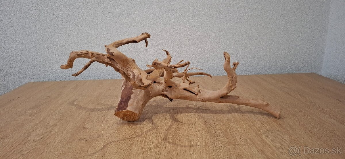 Koren red moor wood - 4