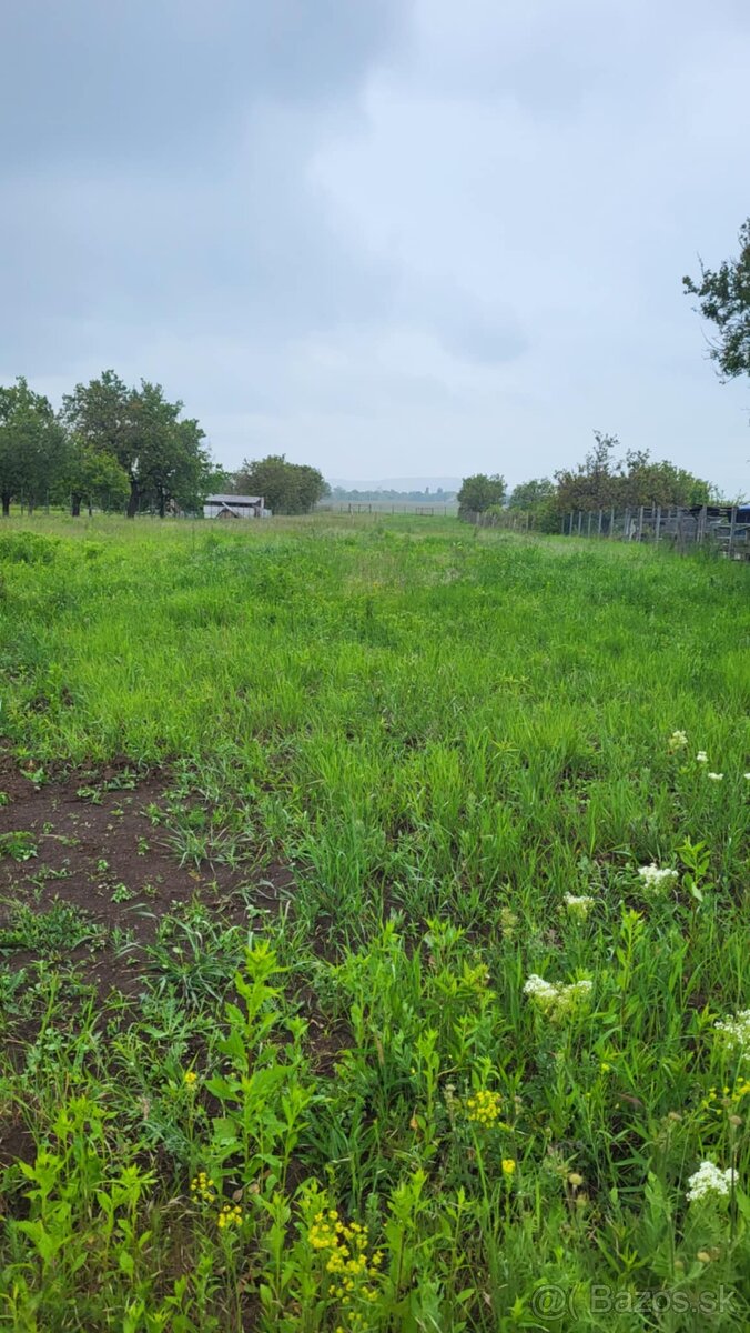 Na predaj investičný pozemok Štúrovo - 4