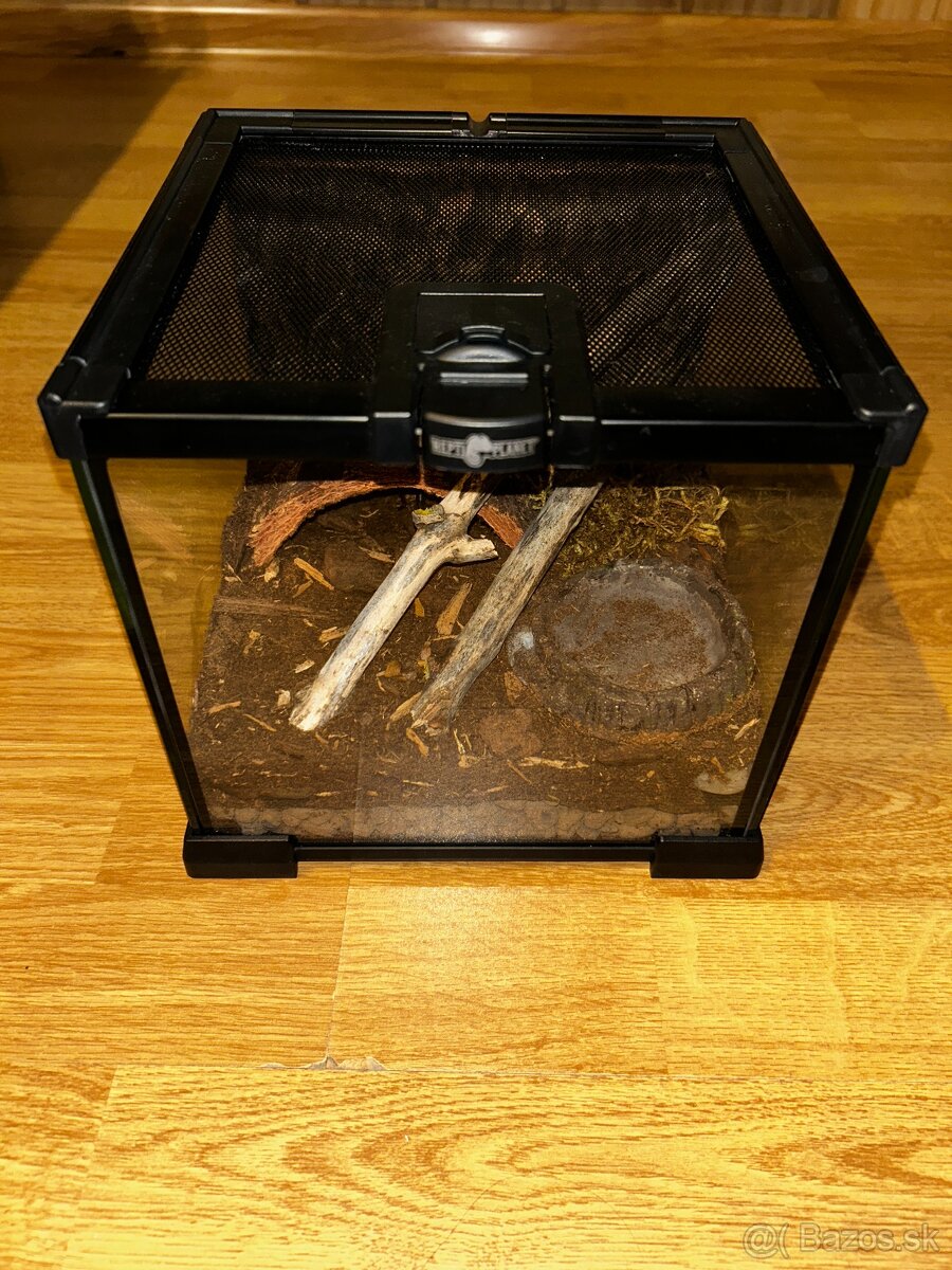 Zariadené terárium - 4