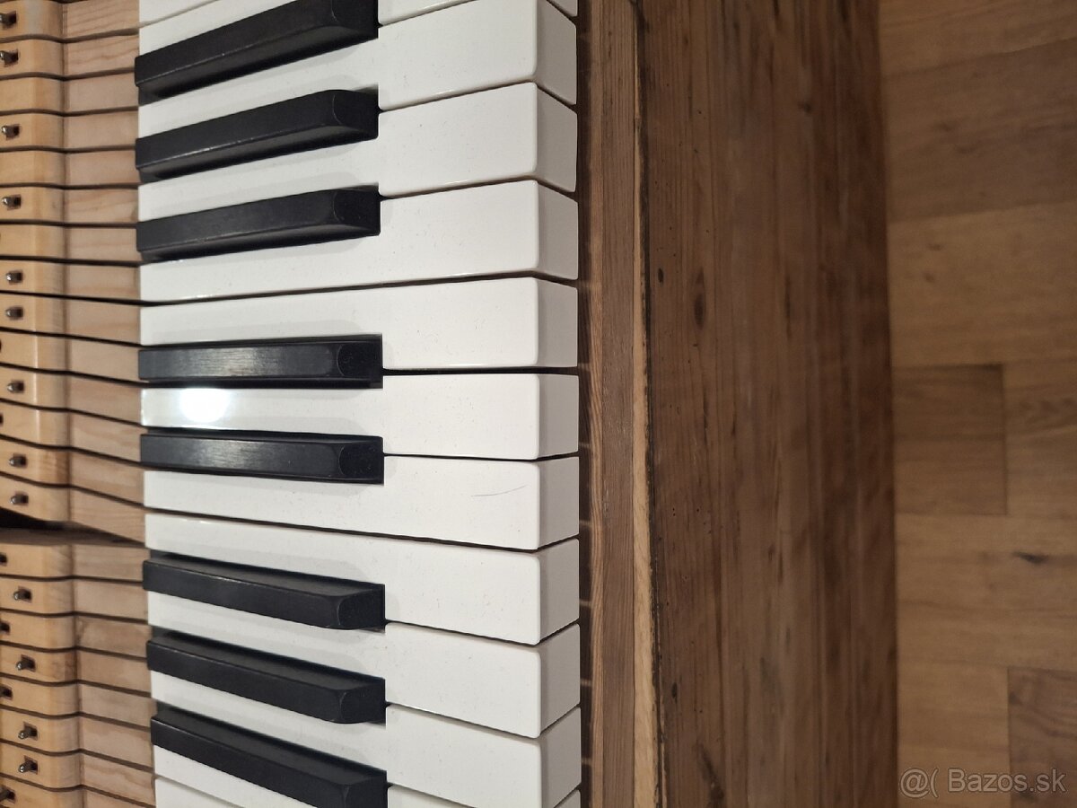 Projekt klavír Hoffman & Czerny - 4