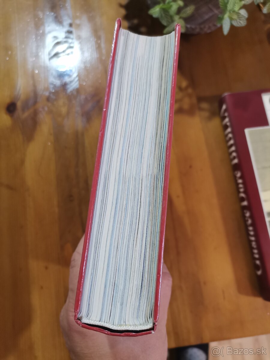 Biblia Doré,Ilustrovaná biblia - 4