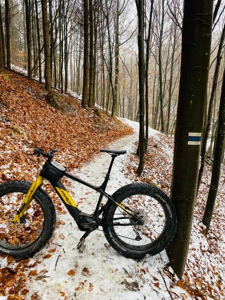 Rock Machine Avalanche INT e70-26 - 4