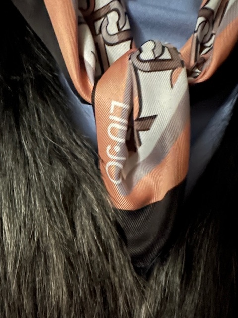 Malá šatka zn. LIU JO originál - 4