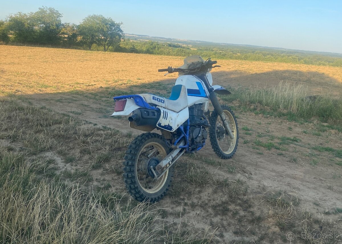 SUZUKI DR 600