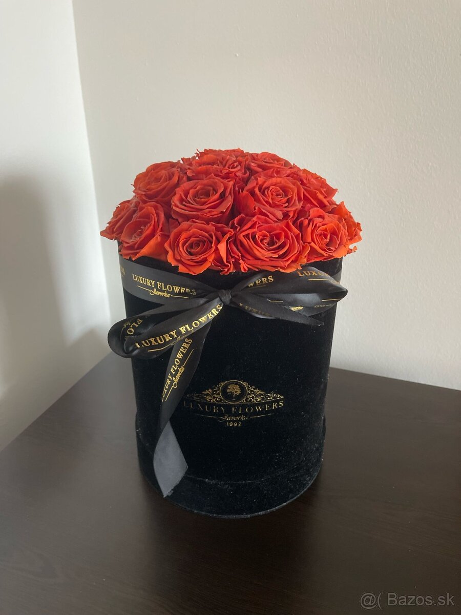Trvácne ruže v boxe 23ks - červená - 4