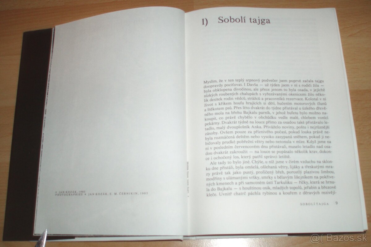 Černý sobol, hnědý medvěd - 4