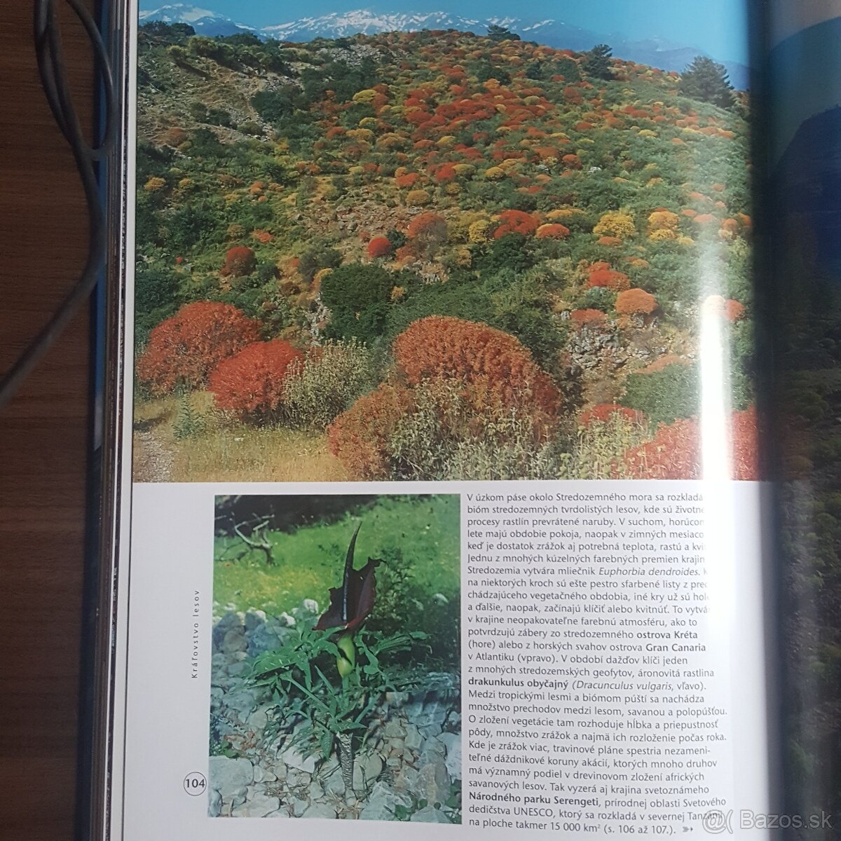 Prírodné divy sveta - 4