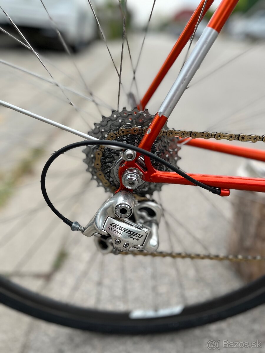 Randoneur Arko Bici - 4