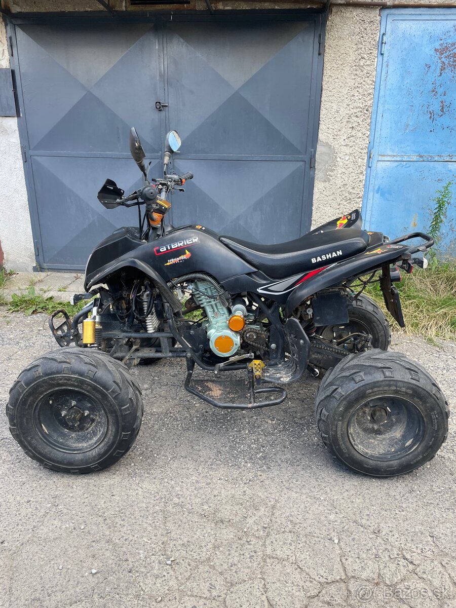Bashan 200