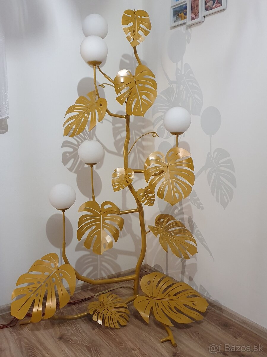 Monstera svietnik - 4