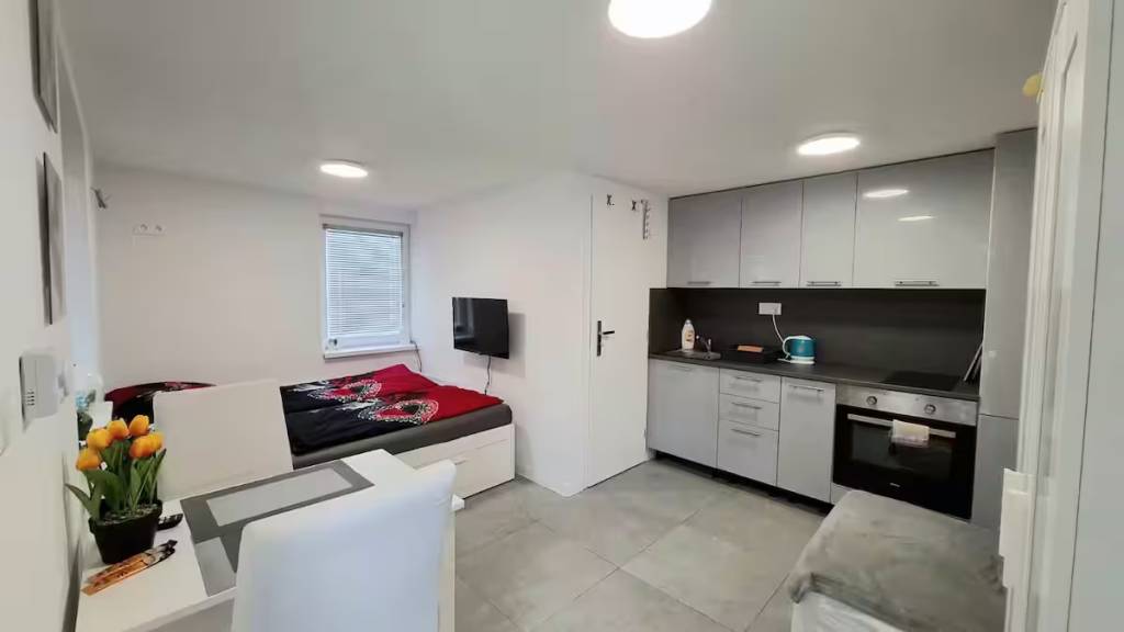 Celoročne obývateľná chata s 247m2 pozemkom za cenu garsónky - 4