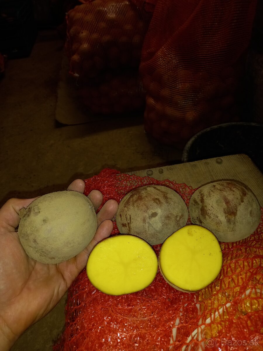 domace zemiaky red anna - 4