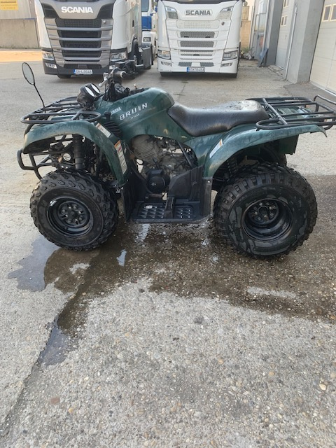 PREDAM YAMAHA BRIUS 250 - 4
