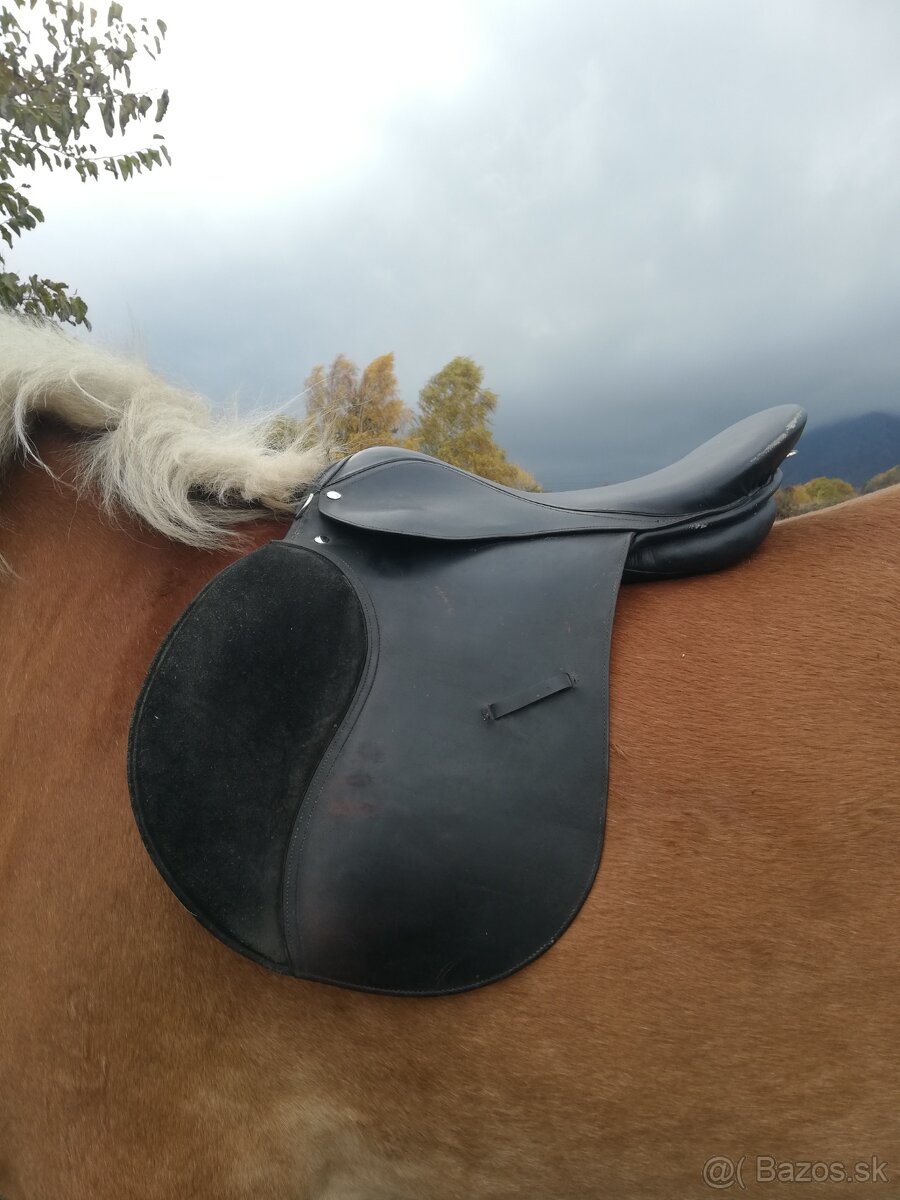 Predám jazdecké potreby - 4