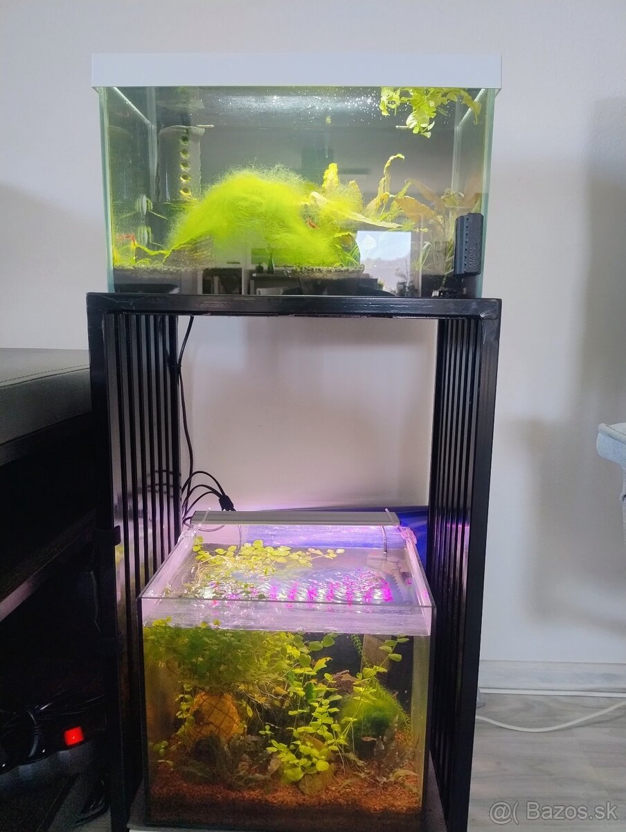 Predám akvárium - 4