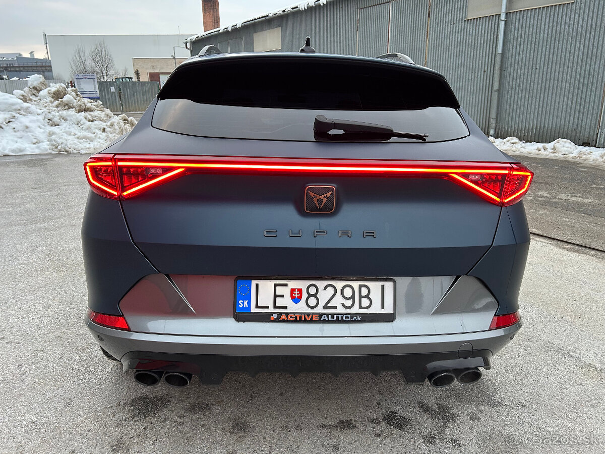 Cupra Formentor 2.0 TSi 228kw DSG 310 - 4