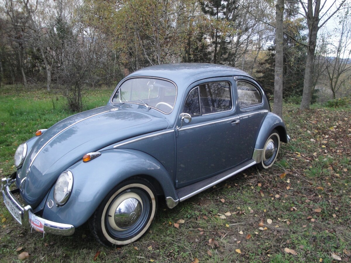 predam vW chrobak veteran r.v.1955 - 4