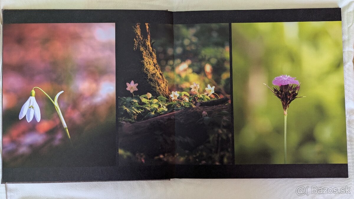 Kniha 4 ročné obdobia Slovenska - 4