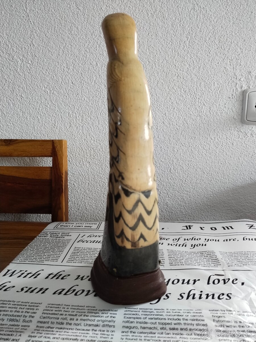 Papoušek z volského rohu - 4