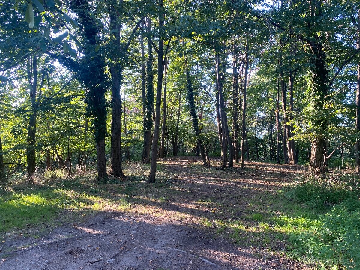 Pozemok Stupava, 2163 m2, VIS - 4