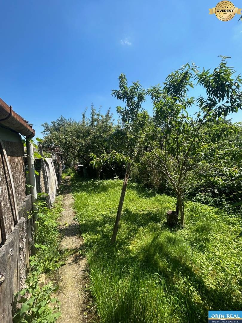 Na predaj starší rodinný dom v obci Budmerice 541m2 - 4