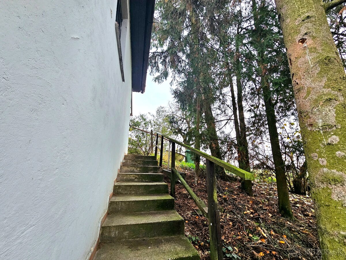 Viničný dom s vinicou Staré Predné Levice - 4