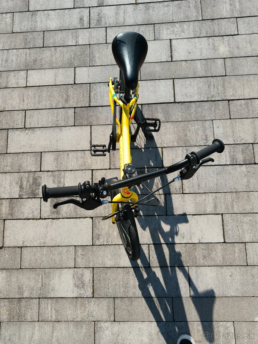 ACADEMY Grade 3 Belt 16” - 4