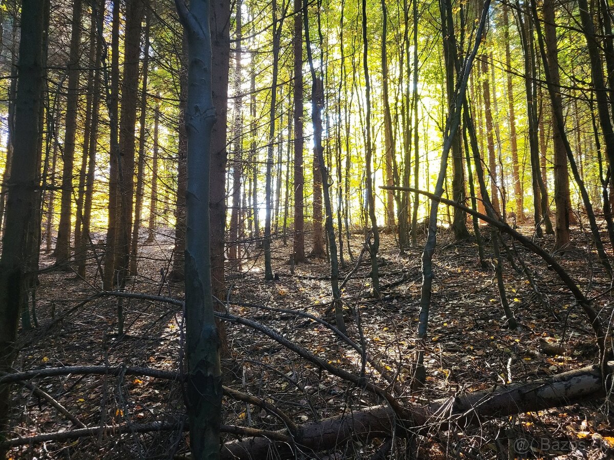 Vymením 3,8 ha lesného pozemku za ornú pôdu - 4