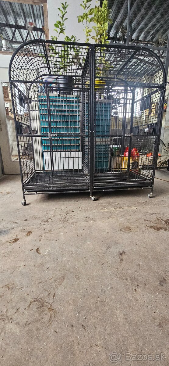 Klietka - 4