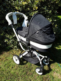 Novy kocik, 2 kombinacia Jeremy Jette - 4