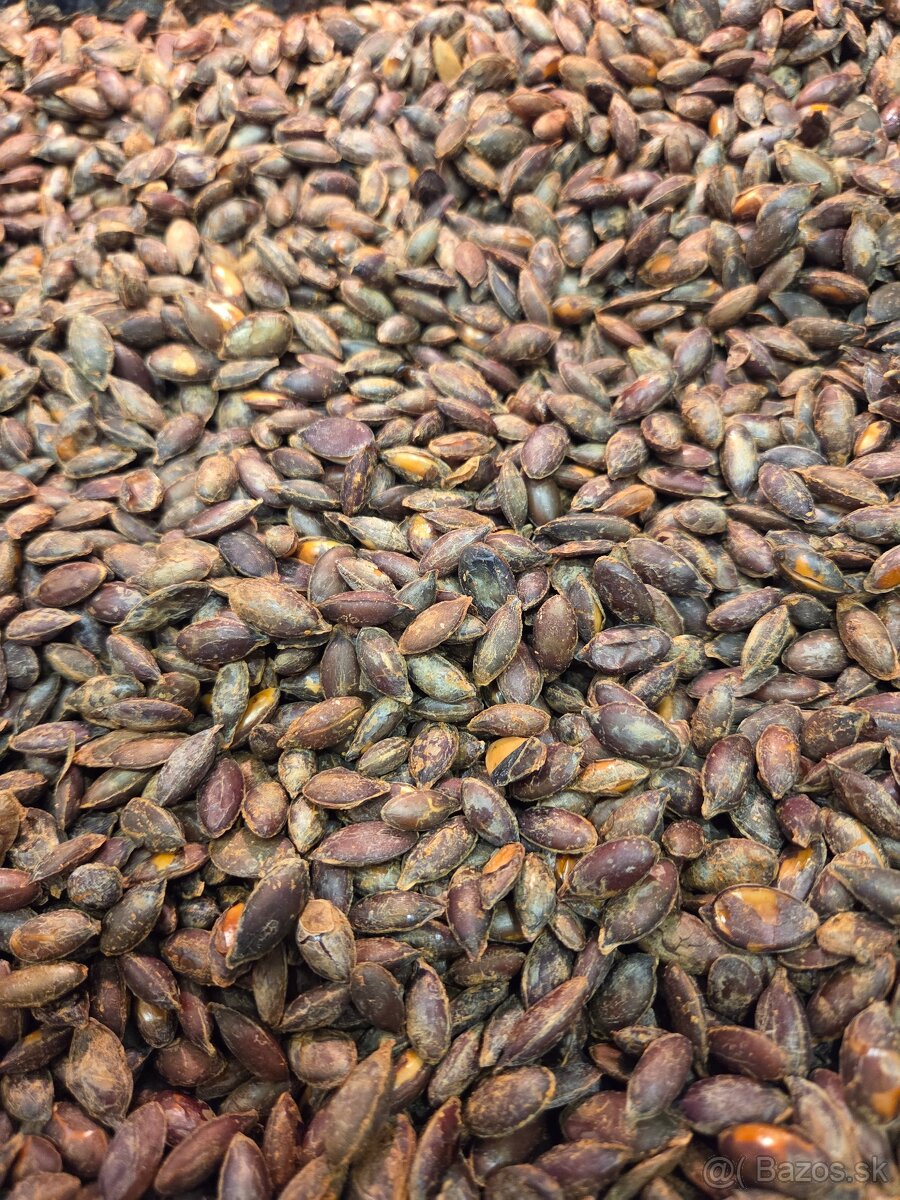 Tekvicové jadierka bezšupkové - 4