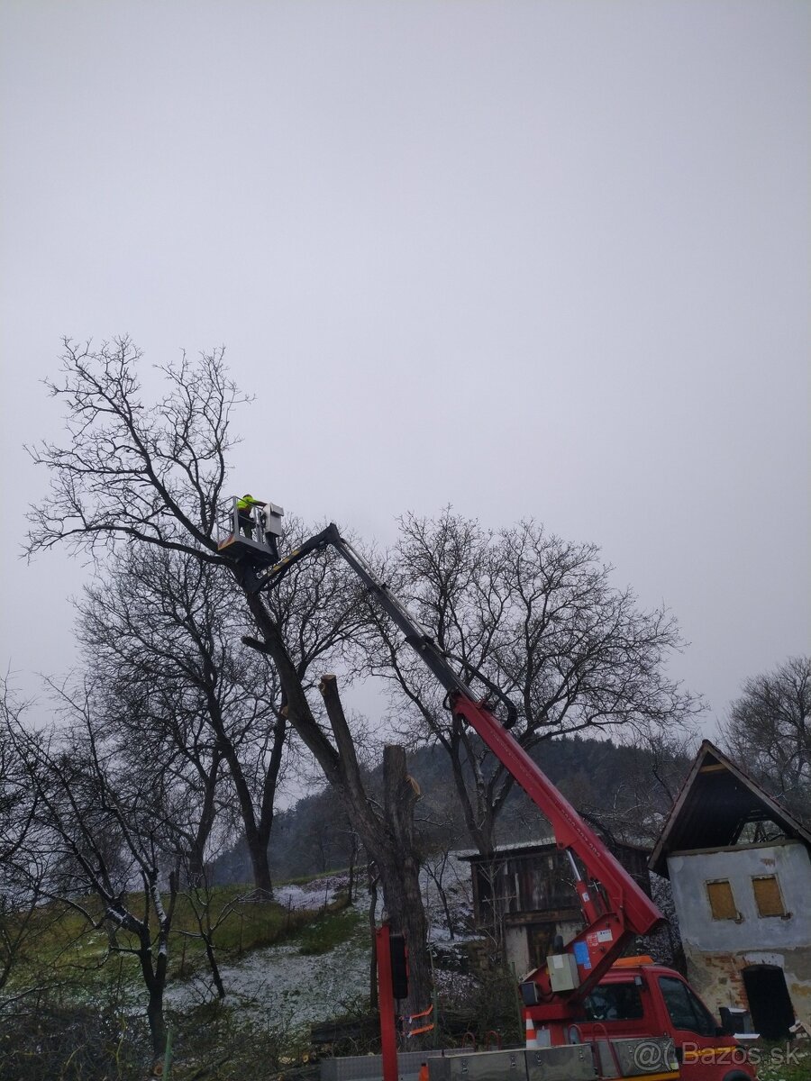 profesionálne pílenie a orezávanie stromov - 4