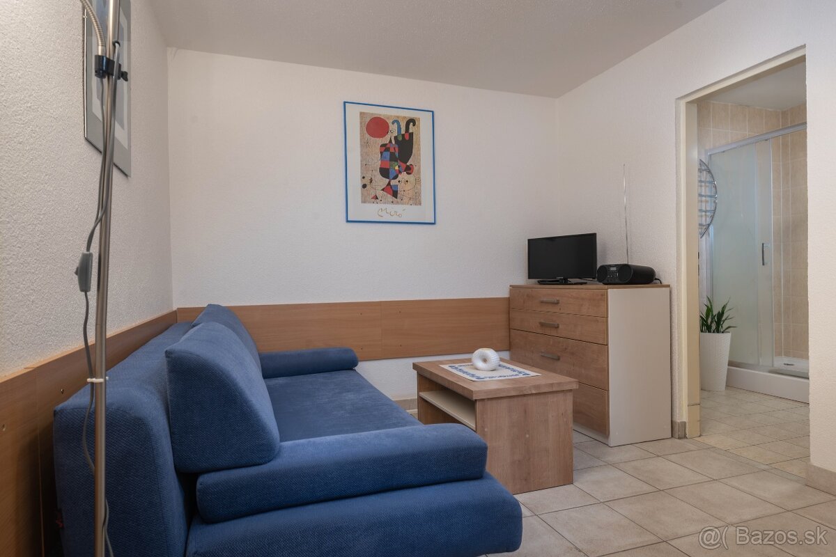 Prenájom Apartmánu v centre Donovál - 4