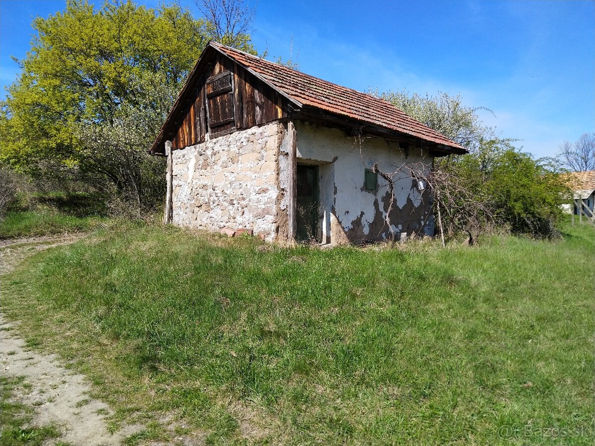 Pozemok - Vinice Čajkov - Sádovské - 4