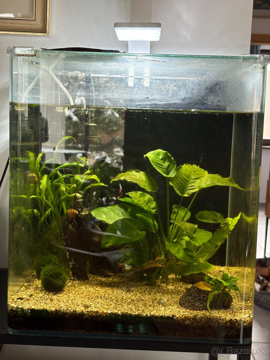 Akvárium Denerle NanoCube Complete 60L - 4