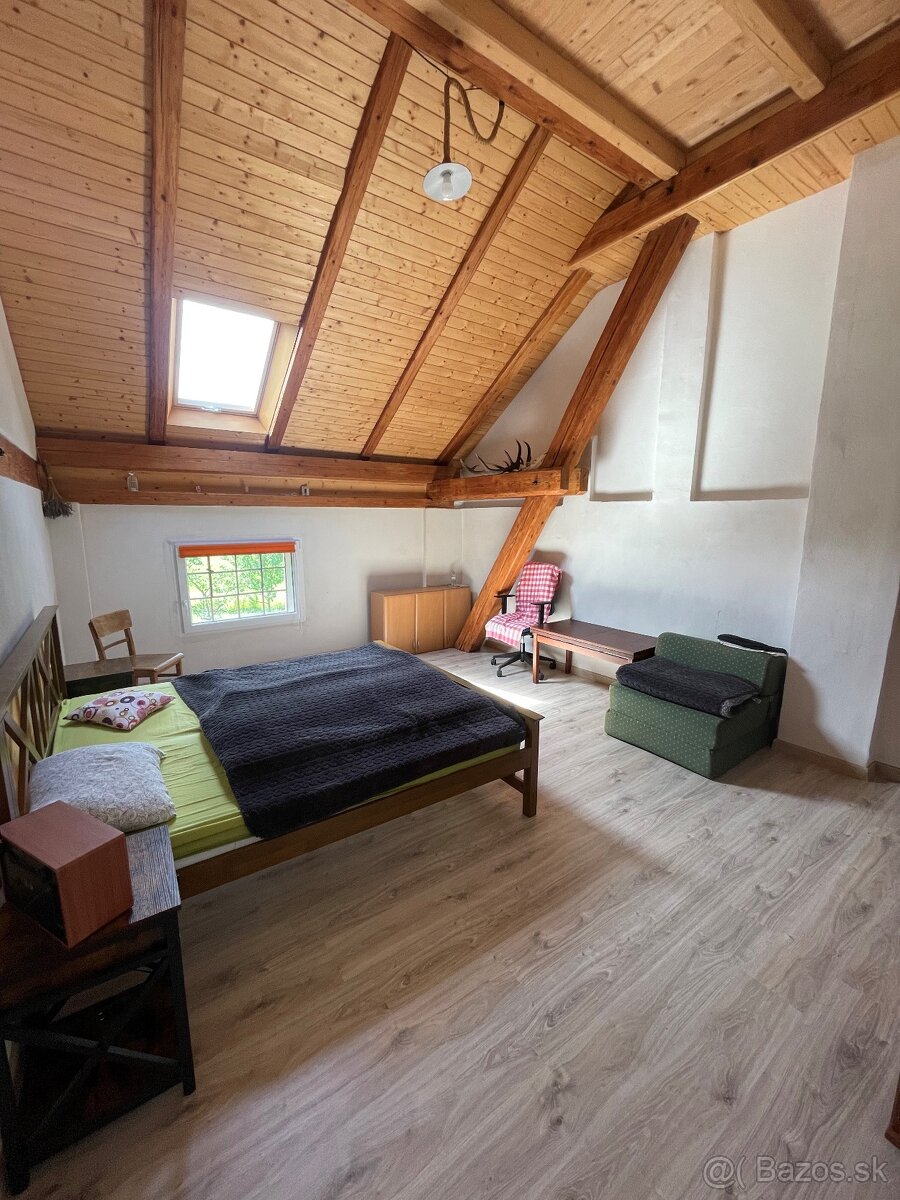 Predám MVE plus zrekonštruovanú budovu mlyna - 4