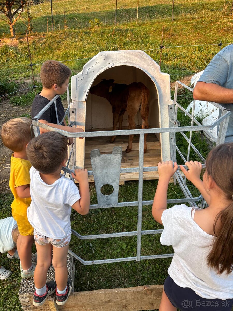 Búdky pre teľatá - 4