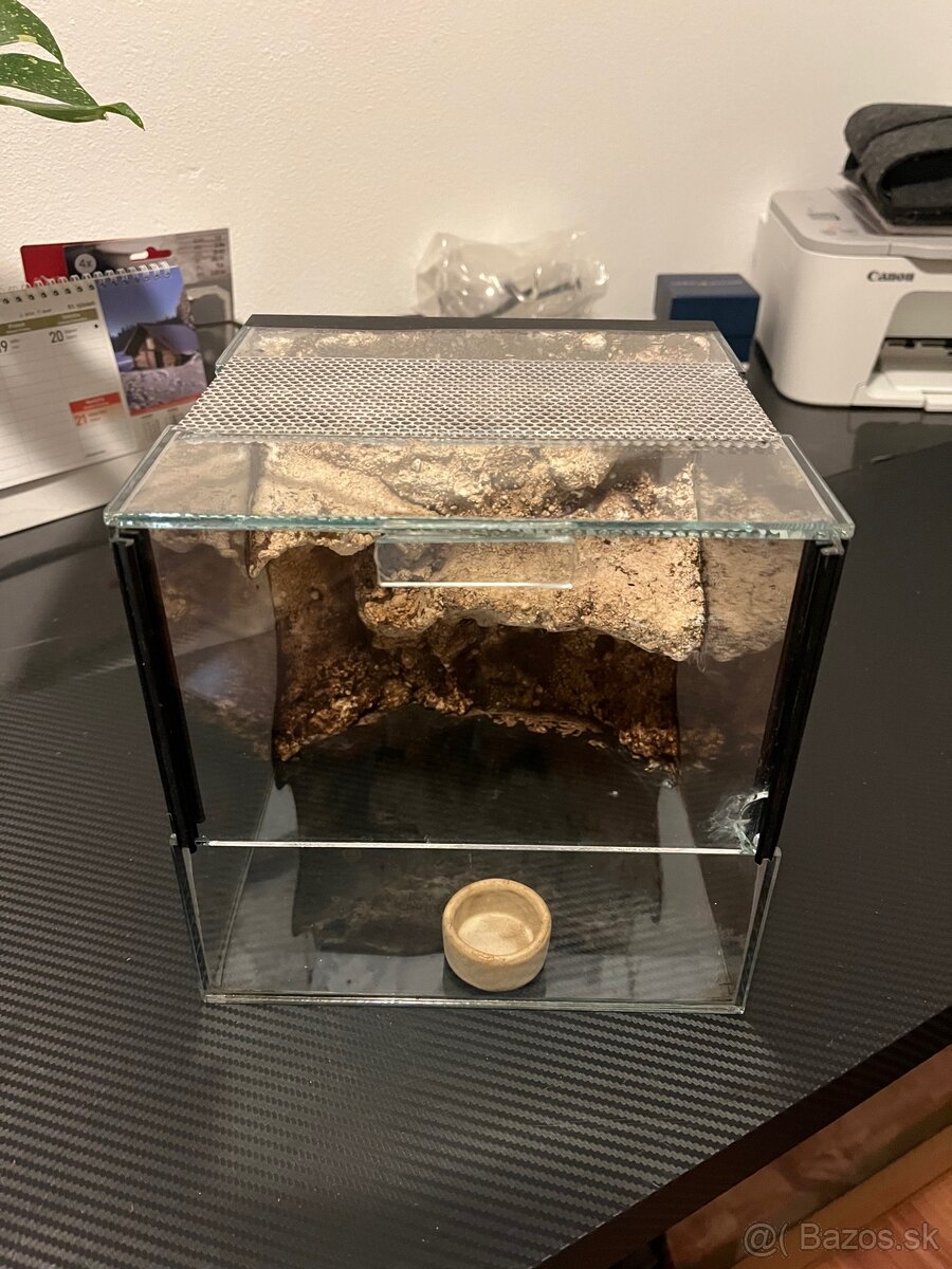 Terária, terárium - 4