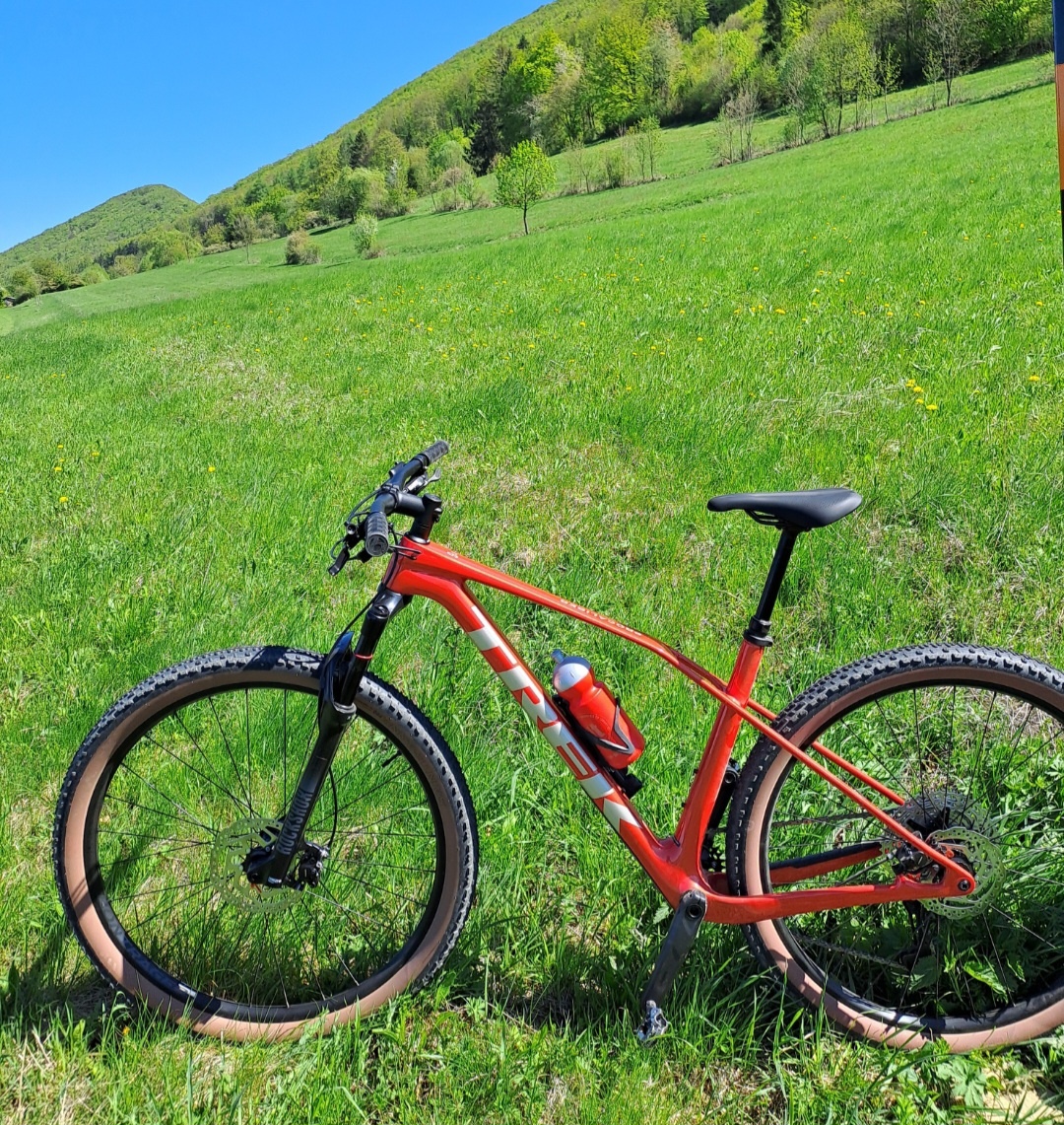 Trek procaliber 9.5 / 2025 - 4
