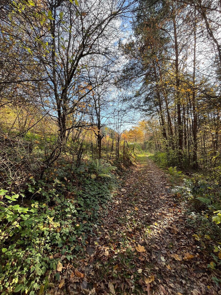 Predam pozemok zahradku na Mihalove Bardejov - 4