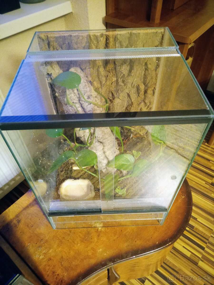 Zariadené terárium 30x30x40 pre tropického miláčika - 4
