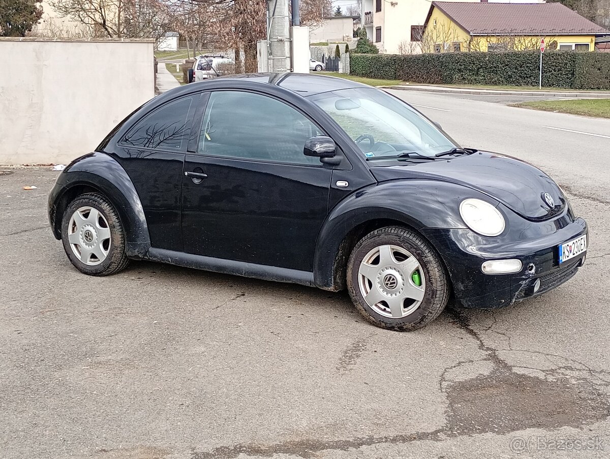 Beetle - 4