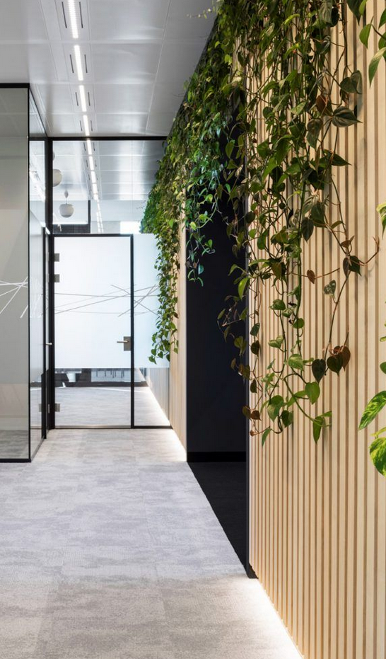 WPC fasádné panely 219x26x2900 mm, skladem, lacno - 4