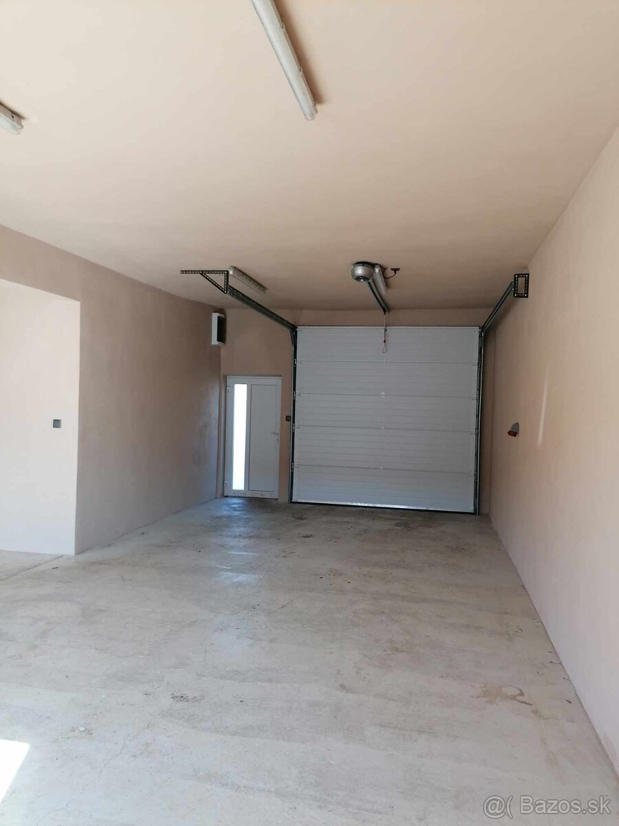 Haly na prenájom - 4