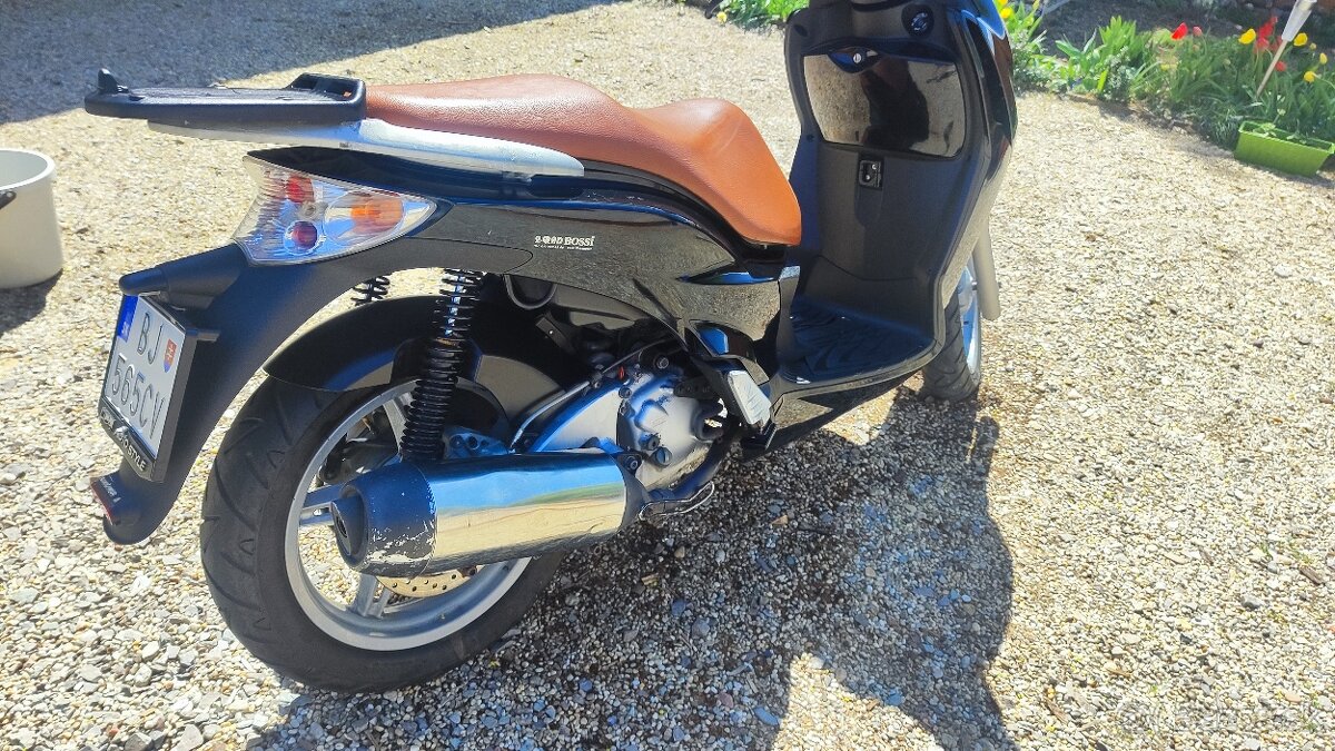 Malaguti Password Ck 250 - 4