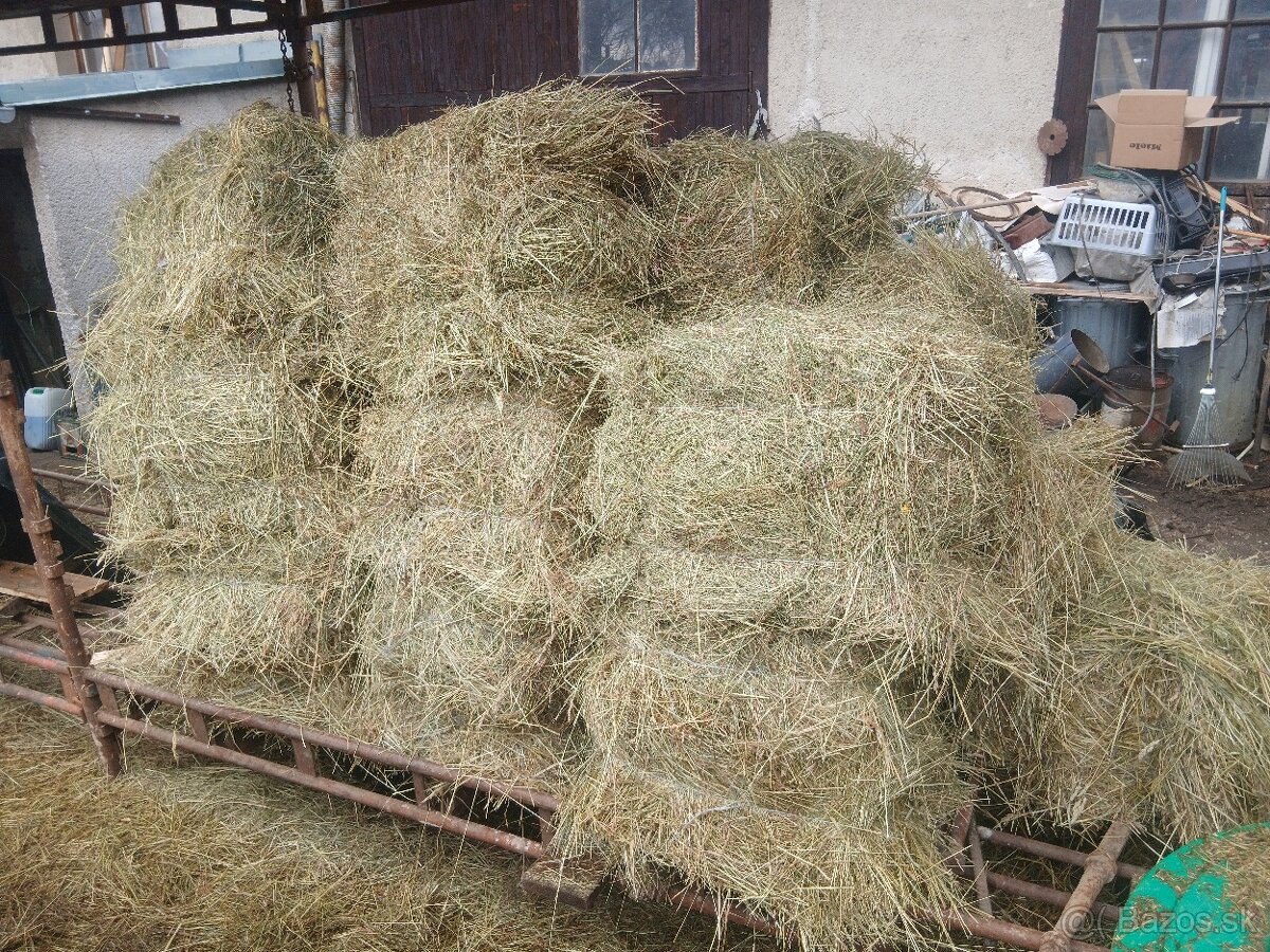 Predám malé hranaté baliký sena. - 4