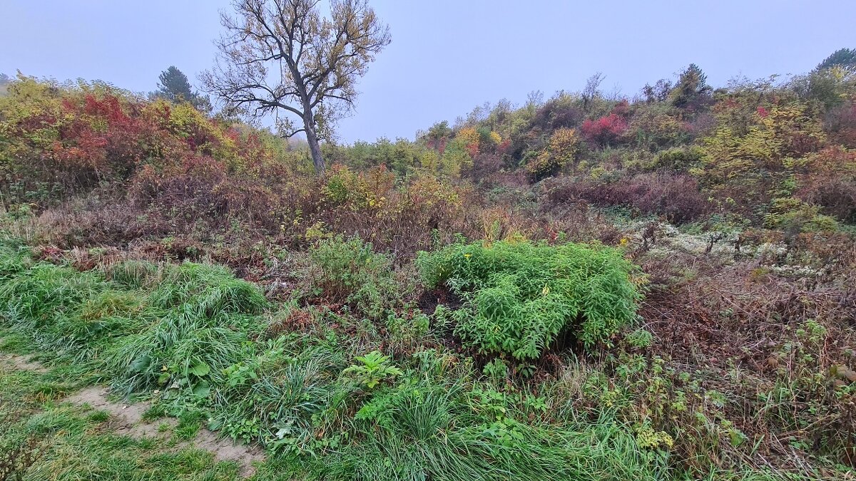 Pozemok/Záhrada 635m2 v obci Chrámec - 4